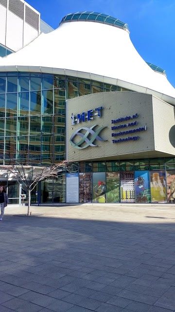 Harborplace & The Gallery